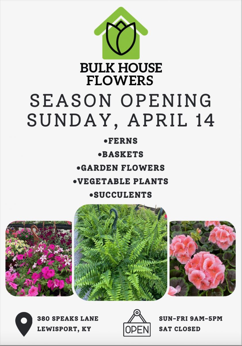 Bulk House Flowers Ad