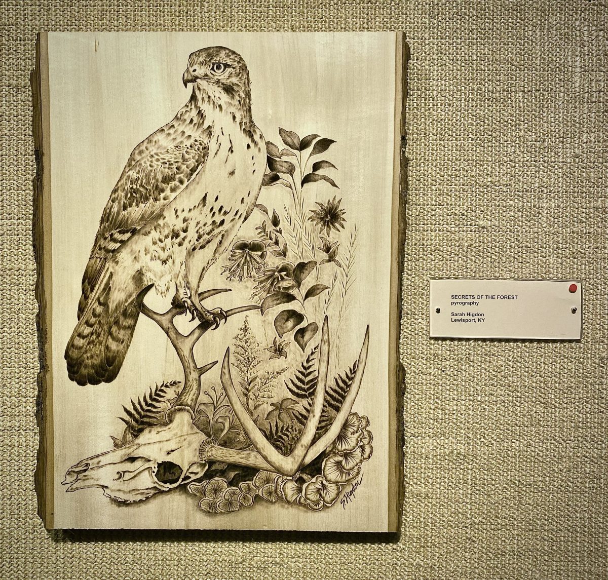 Sarah Higdon’s award-winning woodburning piece joins museum collection