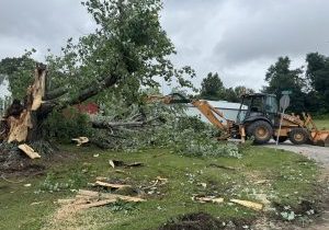 Crew members with the Hancock County Road Department clear a large downed tree outside the former Hancock County Rescue Squad building in Hawesville on Monday, June 22, after overnight storms swept through the county late Sunday, downing trees and knocking out power. The local damage came on a night when forecasters and storm chasers were tracking what some described as one of the most surprising tornado outbreaks in years for the region. 
