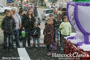 203906_large